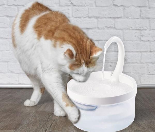 Cat Water Fountain - CatCaire™